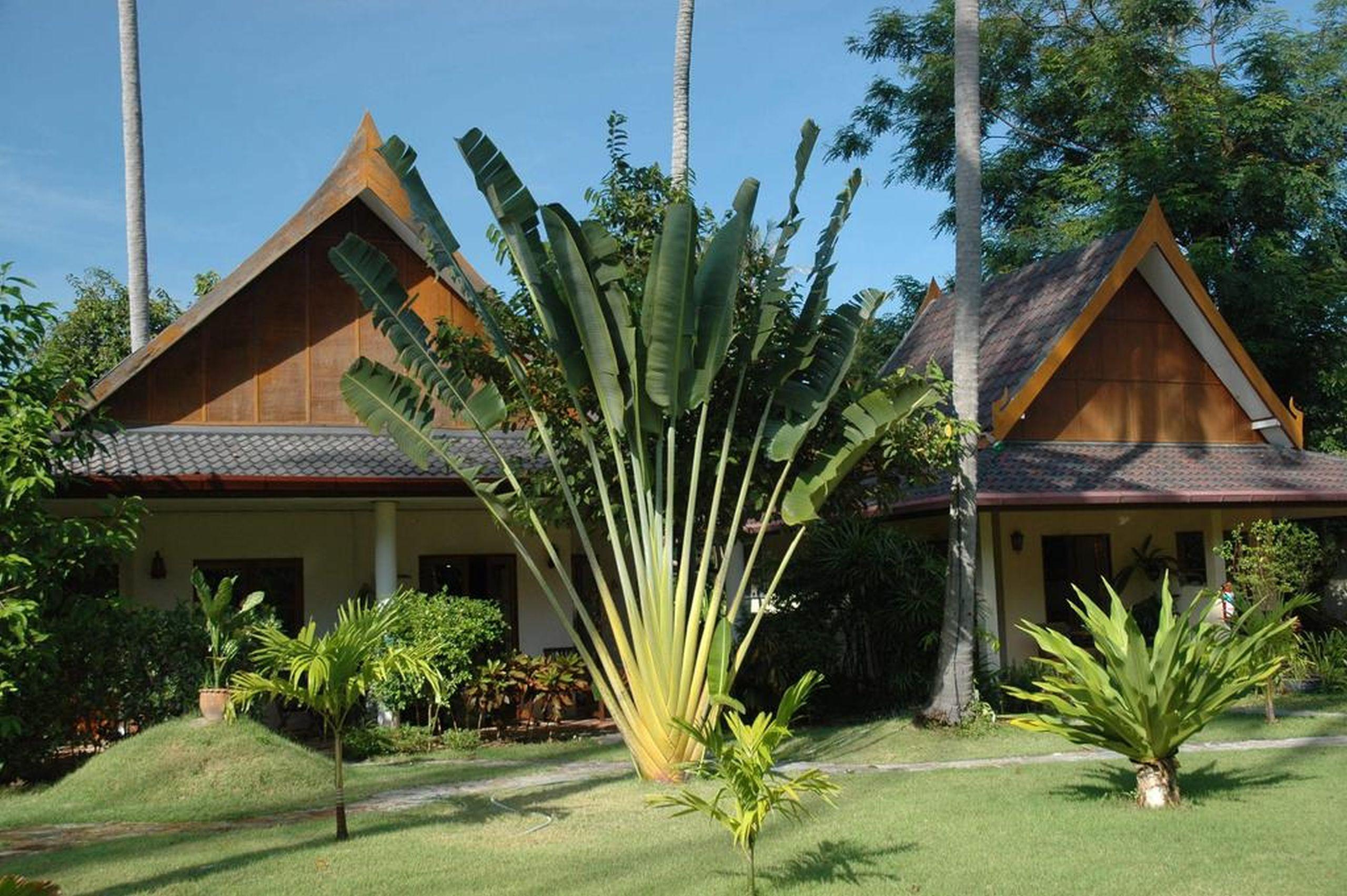 棕榈花园度假村酒店 Rawai 外观 照片